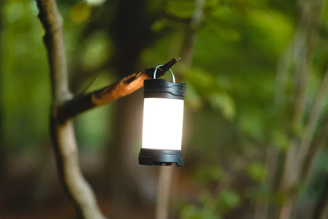 Beleuchtete Campinglaterne hängt an einem Ast in grünem Wald, sanftes Licht in der Dämmerung.