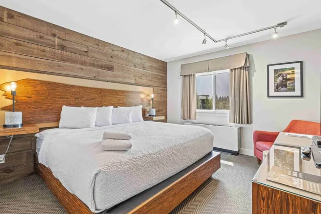 Helles Hotelzimmer mit King-Size-Bett, Holz-Kopfteil, Handtüchern und Fenster mit Waldblick.
