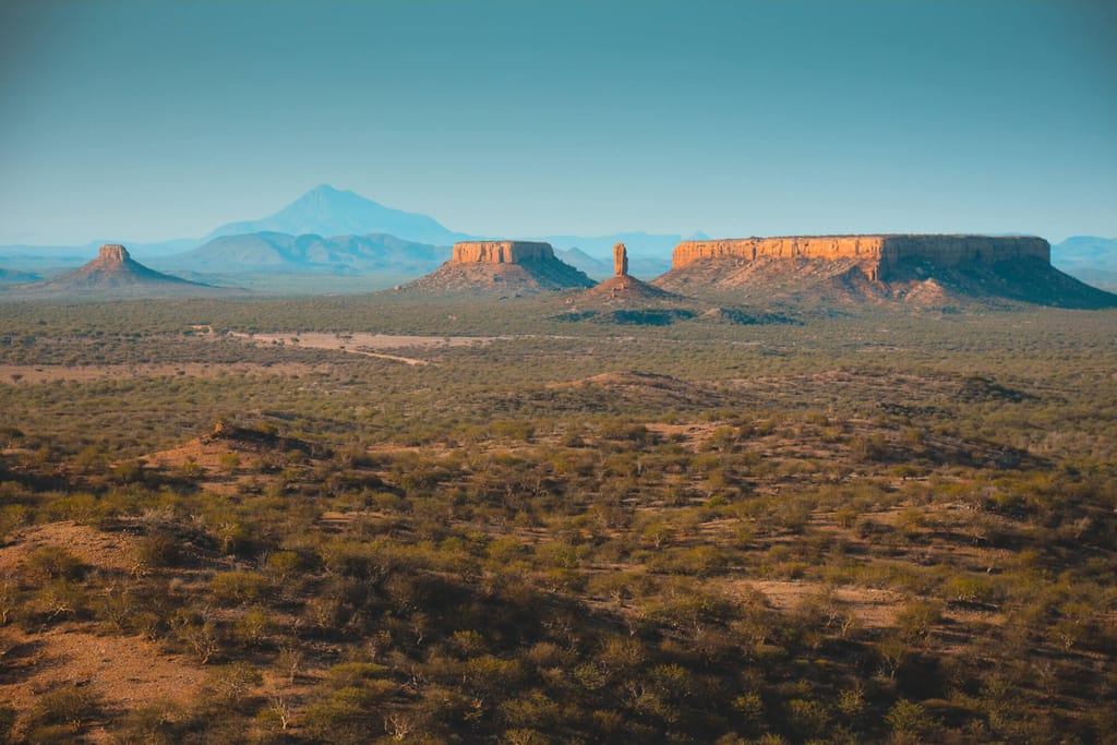 Weite Trockenlandschaft mit Dornbusch, mehreren Tafelbergen und warmem Licht am späten Nachmittag