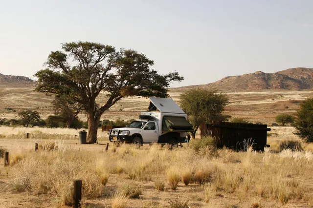 Camper mit aufgeklapptem Dachzelt neben Baum auf trockenem Grasland bei warmem Abendlicht.