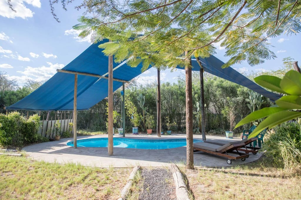 Kleiner Pool mit blauem Sonnensegel, Liegen und umgebender Gartenvegetation bei hellem Tageslicht.
