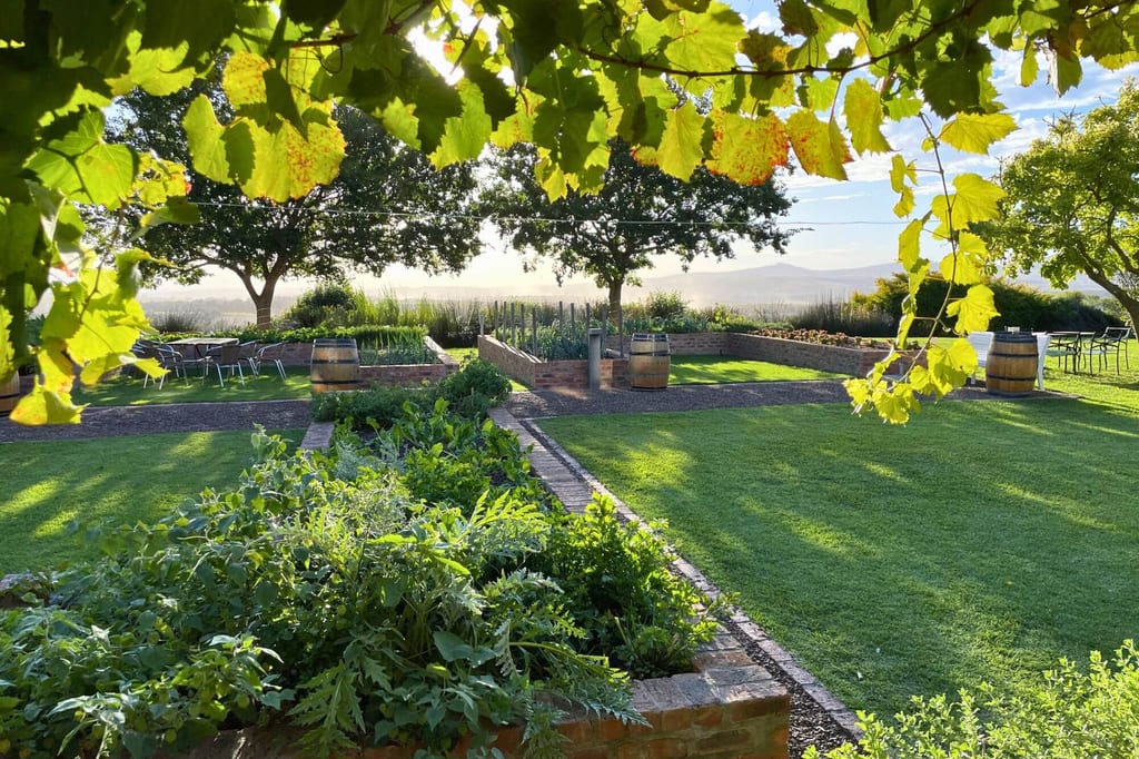 Gepflegter Garten mit Hochbeeten, Rasen, Bäumen und überhängenden Weinblättern im warmen Seitenlicht.