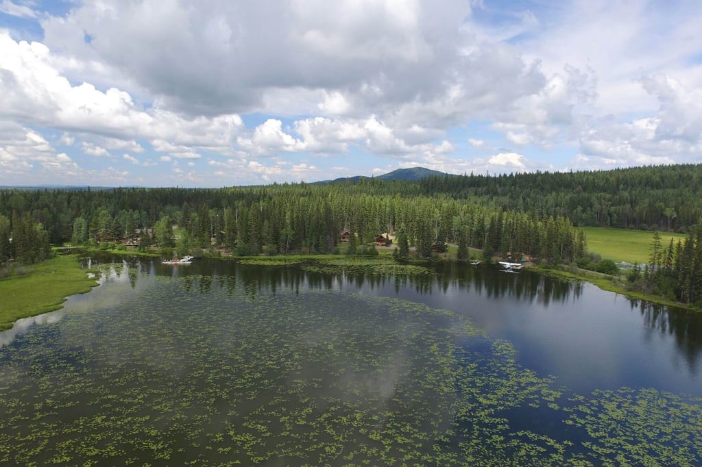 Luftaufnahme eines von Nadelwald umgebenen Sees mit Wasserpflanzen, Booten und Wasserflugzeug unter Wolken