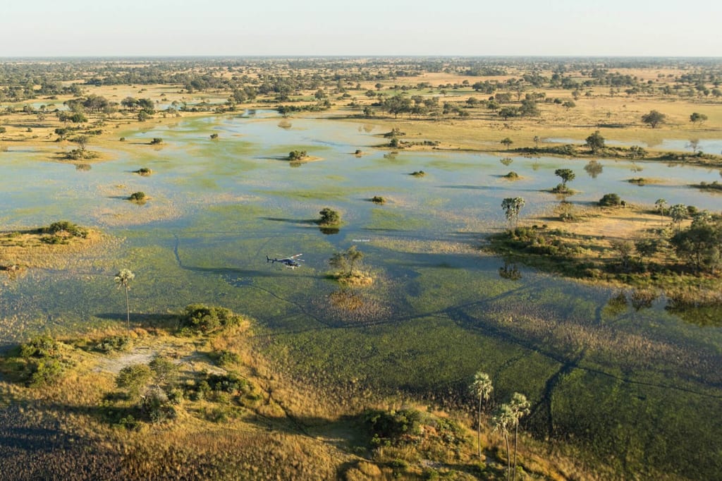 Luftaufnahme eines weiten, überschwemmten Graslands mit vereinzelten Bäumen und einem Helikopter