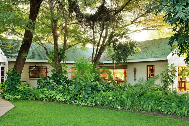 Eingeschossiges Haus mit grünem Dach hinter dichtem Garten und Rasen im warmen Nachmittagslicht.