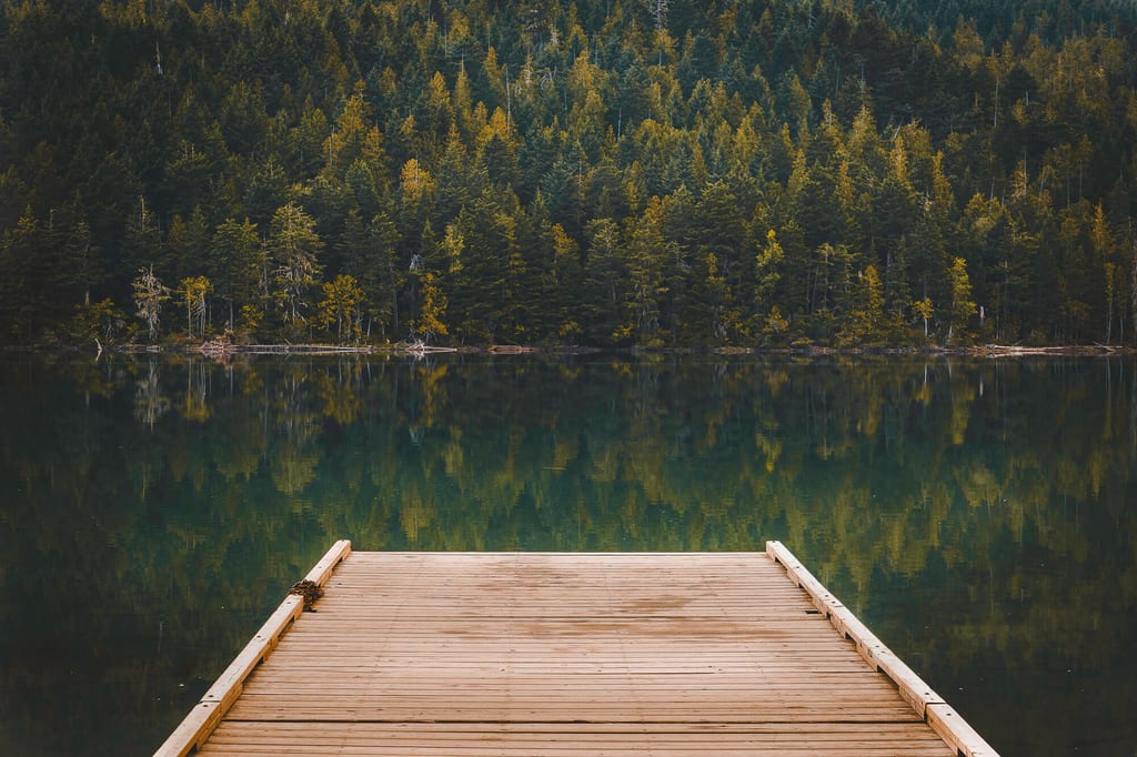 Hölzerner Steg auf ruhigem See mit Spiegelung eines dichten Nadelwalds im Hintergrund.