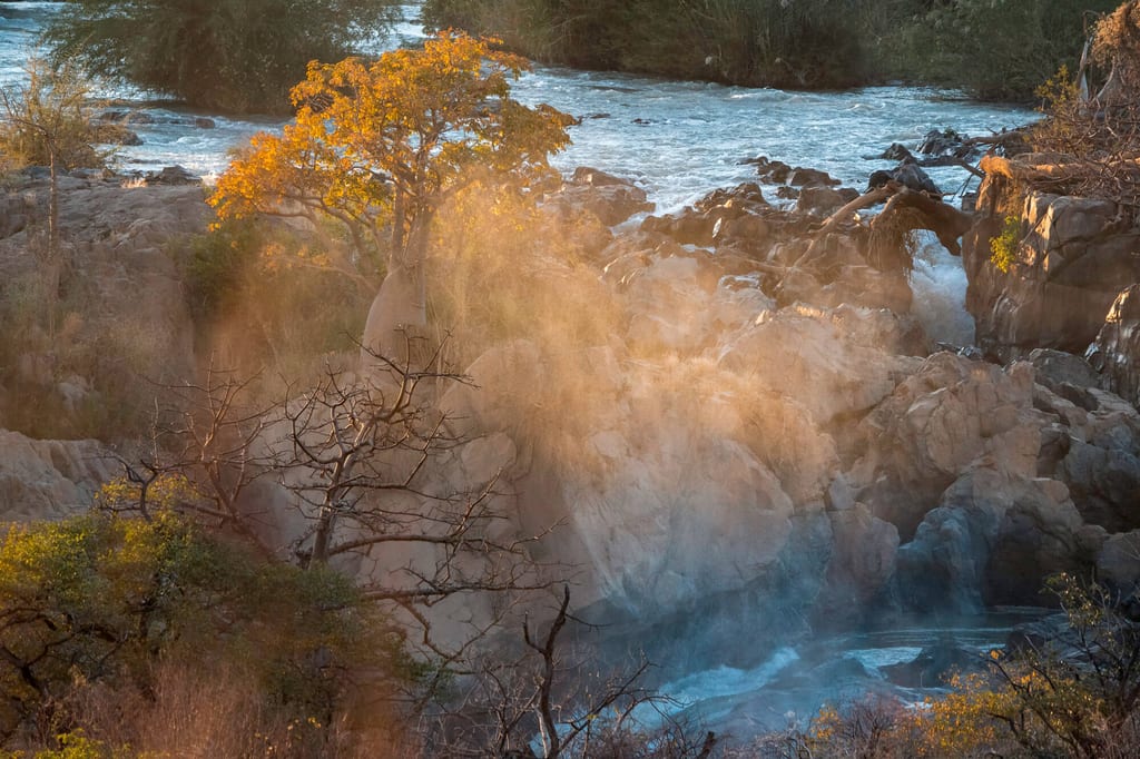 Felsige Flussstelle mit Stromschnellen, gelbem Baum und Wassernebel im warmen Seitenlicht.
