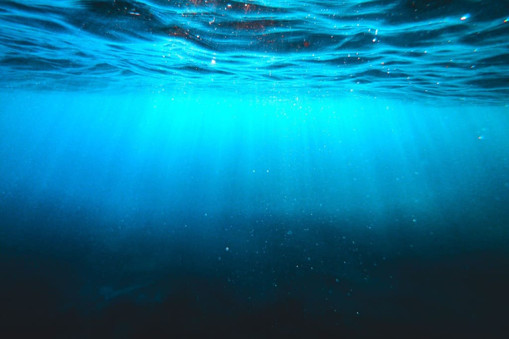 Unterwasserwelt