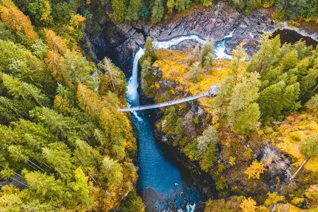 Luftaufnahme: Hängende Brücke über Schlucht und blauer Fluss bei Campbell River, herbstlicher Wald.