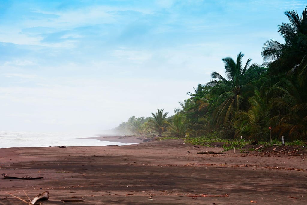 Menschenleerer Tropenstrand mit dunklem Sand und Palmen unter nebligem Himmel