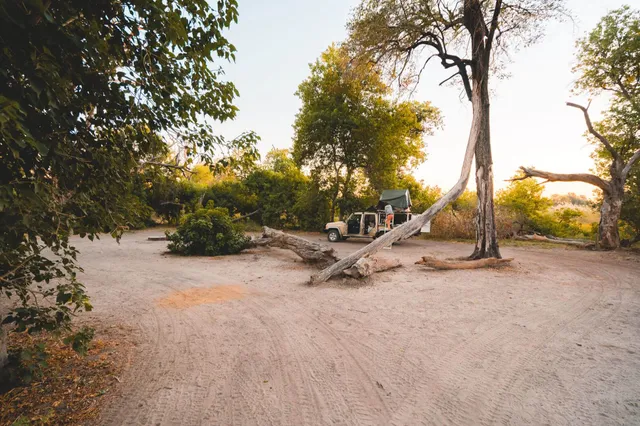 Moremi Game Reserve