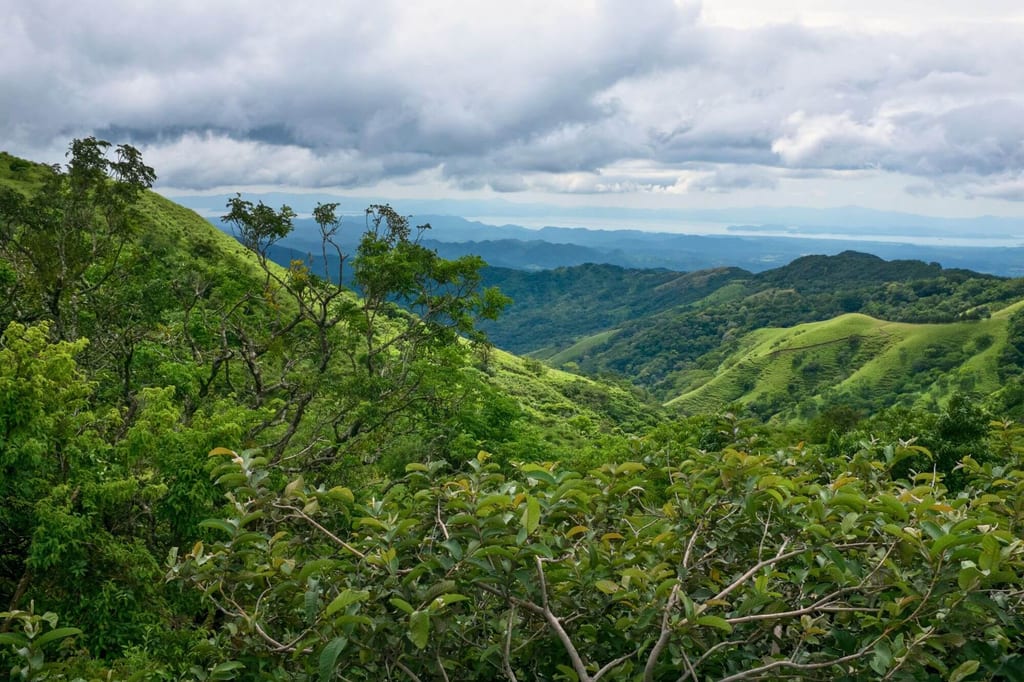 Grüne Hügel und bewaldete Täler unter wolkenverhangenem Himmel, Blick von erhöhtem Standpunkt.