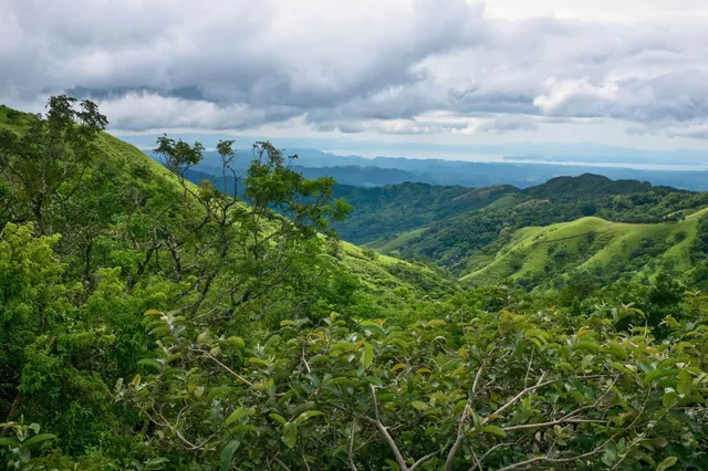 Grüne Hügel und bewaldete Täler unter wolkenverhangenem Himmel, Blick von erhöhtem Standpunkt.