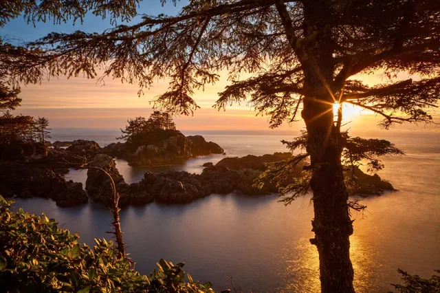 Sonnenuntergang auf dem Wild Pacific Trail