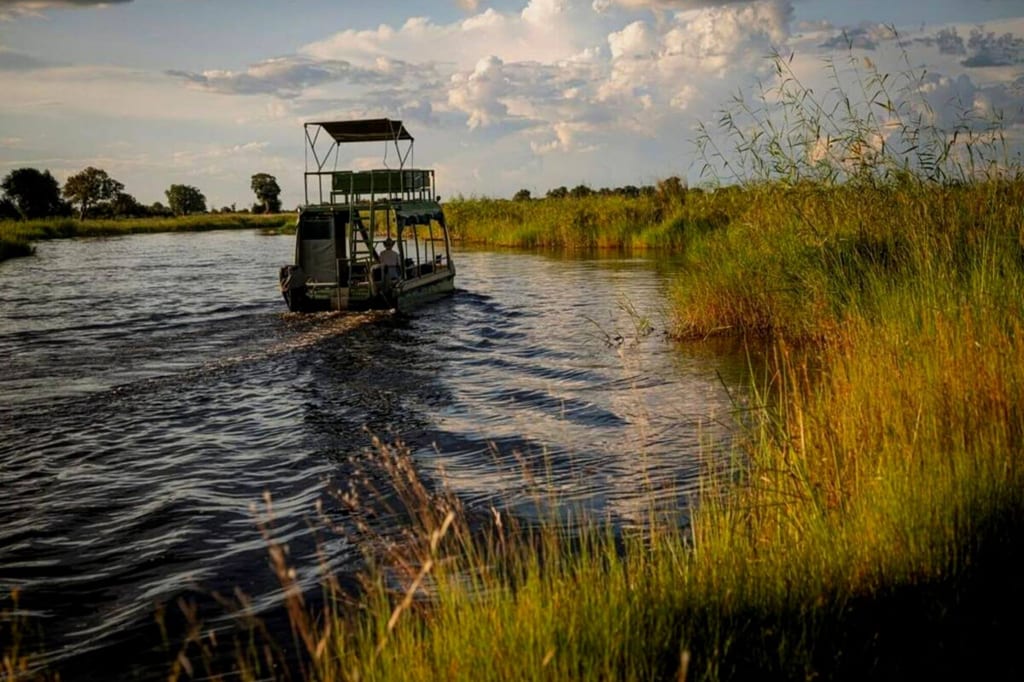 Ausflugsboot fährt auf einem schmalen Fluss durch schilfbewachsenes Ufer im warmen Spätnachmittagslicht.