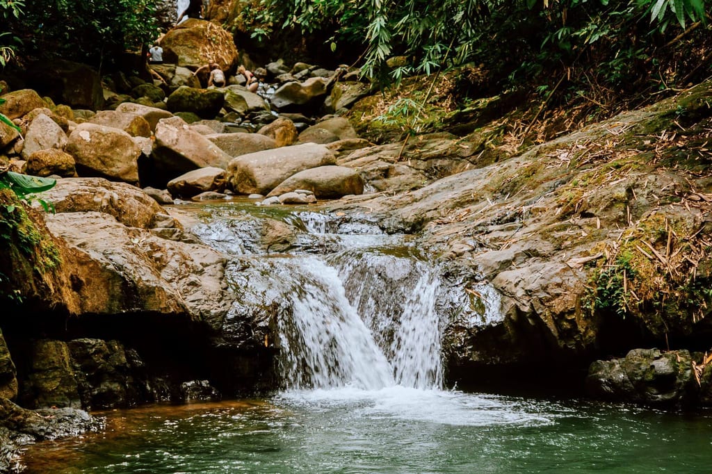 Kleiner Wasserfall in einem felsigen Bach mit dichtem, grünem Uferbewuchs