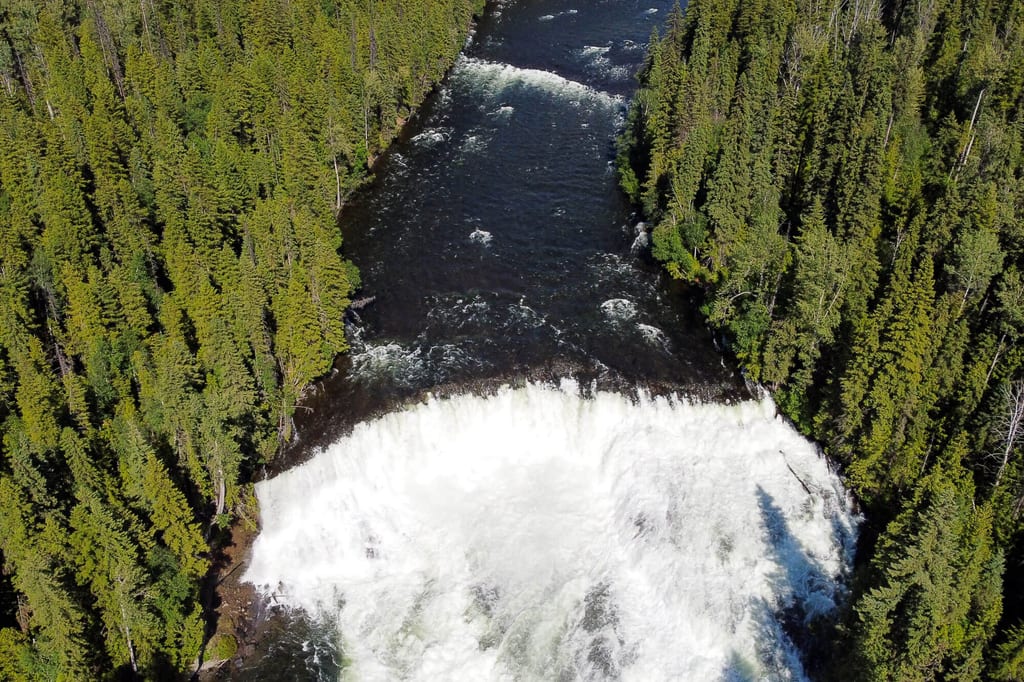 Luftaufnahme: breiter Fluss mit schäumendem Wasserfall zwischen dichtem Nadelwald, Tageslicht