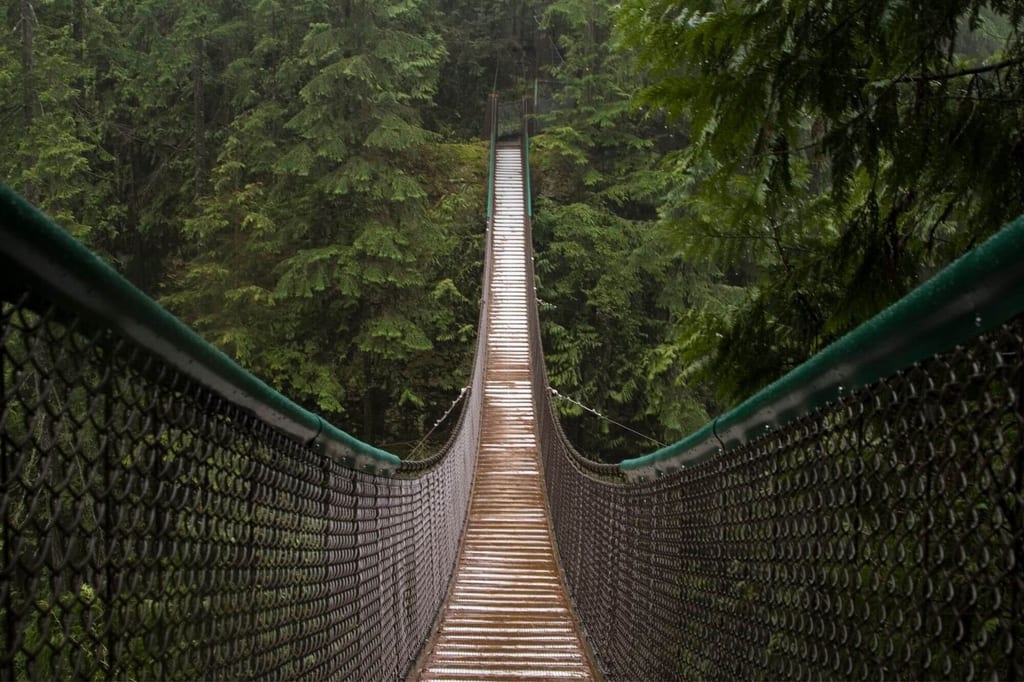 Nasse Hängebrücke führt in einen dichten, grünen Nadelwald bei diffusem Tageslicht.