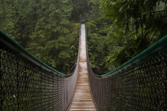 Nasse Hängebrücke führt in einen dichten, grünen Nadelwald bei diffusem Tageslicht.