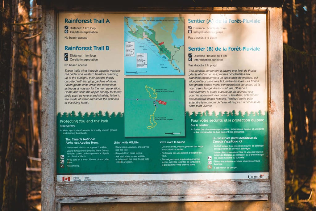 Frontale Aufnahme einer Informationstafel zu Wanderwegen im Wald, warmes Seitenlicht, Holzrahmen