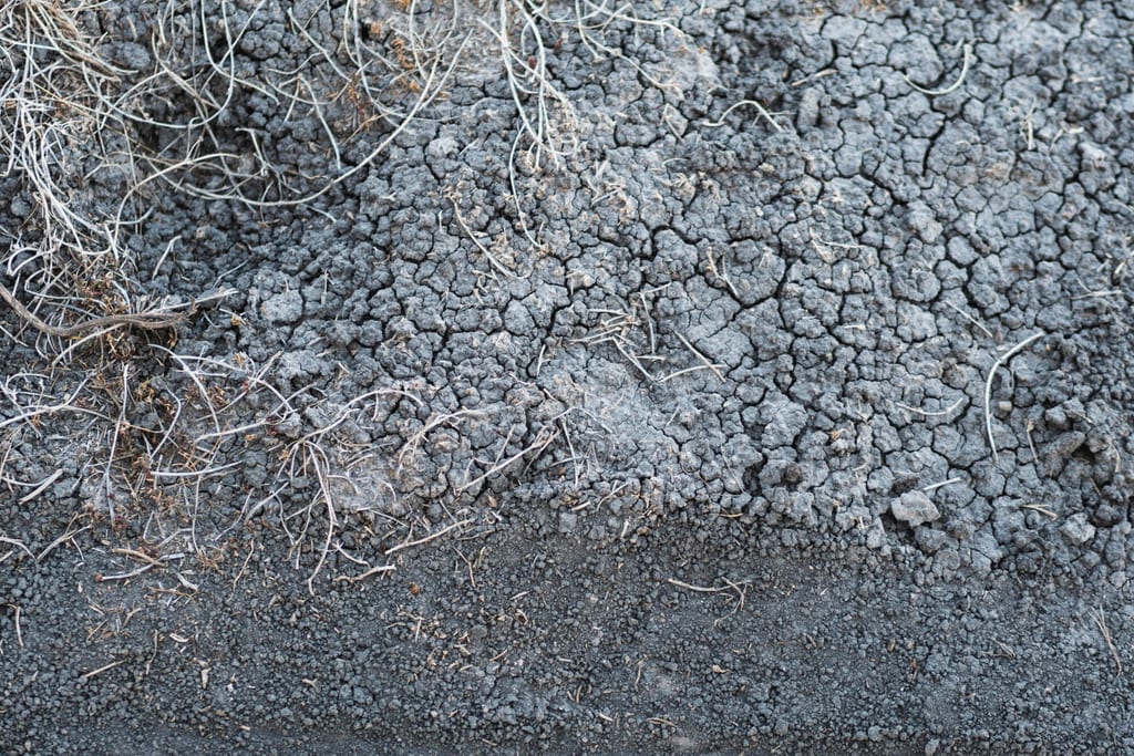 Nahaufnahme rissiger, trockener Erde mit vertrockneten Graswurzeln und feinem Schotter.