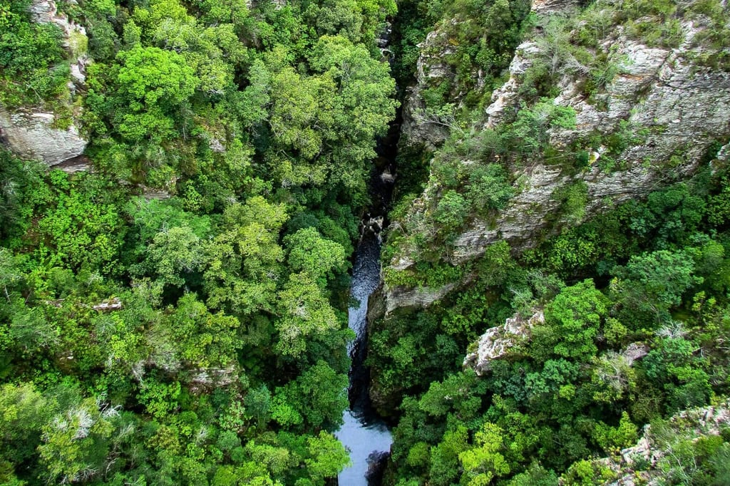 Luftaufnahme einer schmalen Schlucht mit dichtem grünen Wald und einem dunklen Fluss zwischen Felsen.