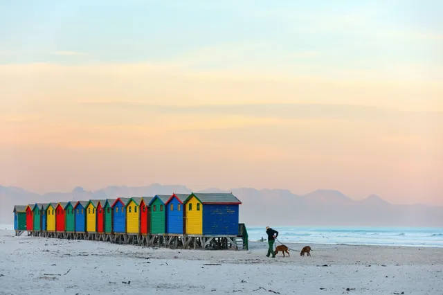 Bunte Strandhütten auf Stelzen am Meer, Person mit zwei Haustieren am Strand im Abendlicht.