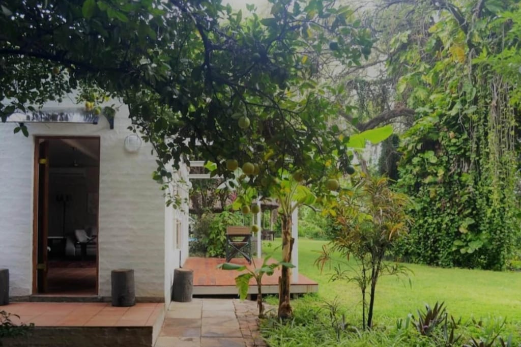 Terrasseneingang eines weißen Hauses mit Obstbaum, Rasen und offenem Durchgang ins Innere.