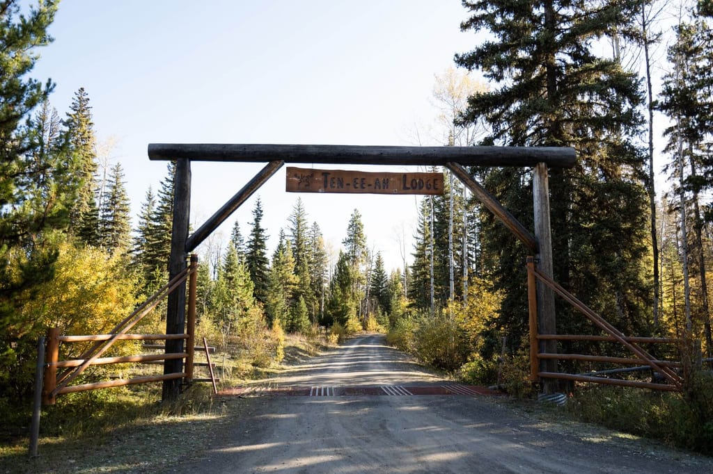 Holzportal mit Lodge-Schild und Schotterstraße, herbstlicher Nadelwald und warmes Seitenlicht.
