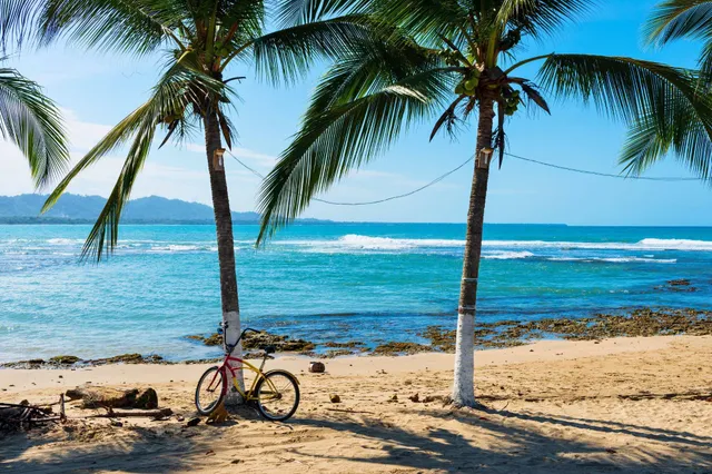 Sonniger Strand mit zwei Palmen, Fahrrad am Stamm und türkisblauem Meer im Hintergrund.