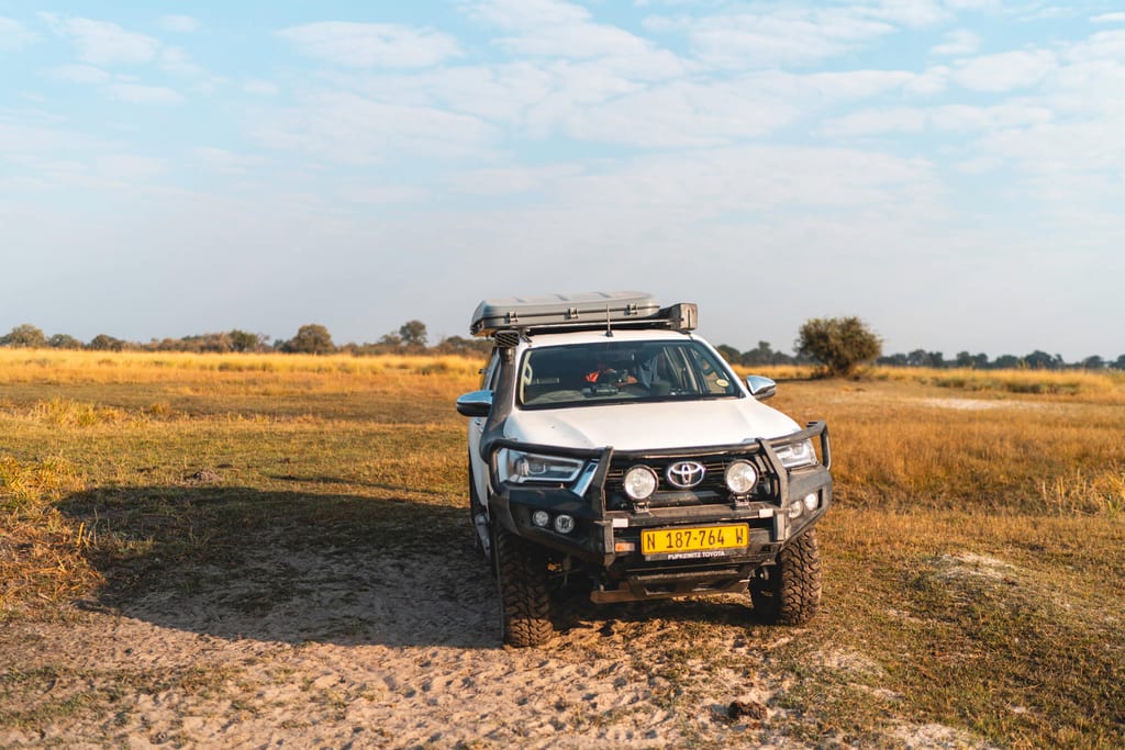 Weißer Toyota-Geländewagen frontal in offener Graslandschaft bei warmem Seitenlicht.