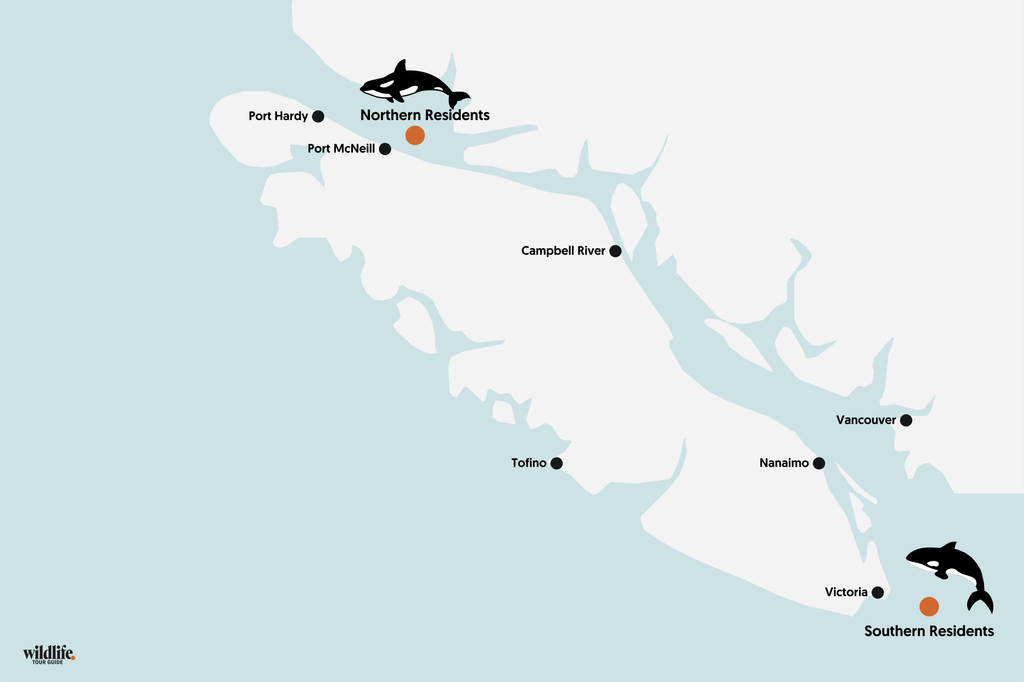 Whale Watching vor Vancouver Island auf Karte