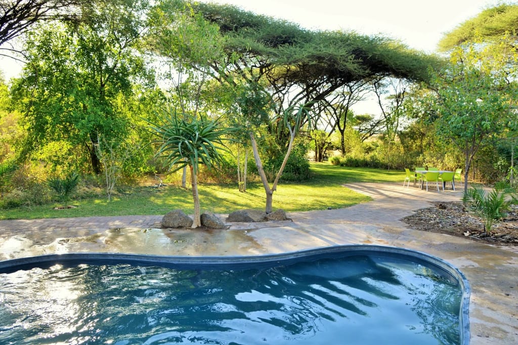 Pool im Vordergrund, Garten mit Bäumen und Sitzgruppe im warmen Nachmittagslicht