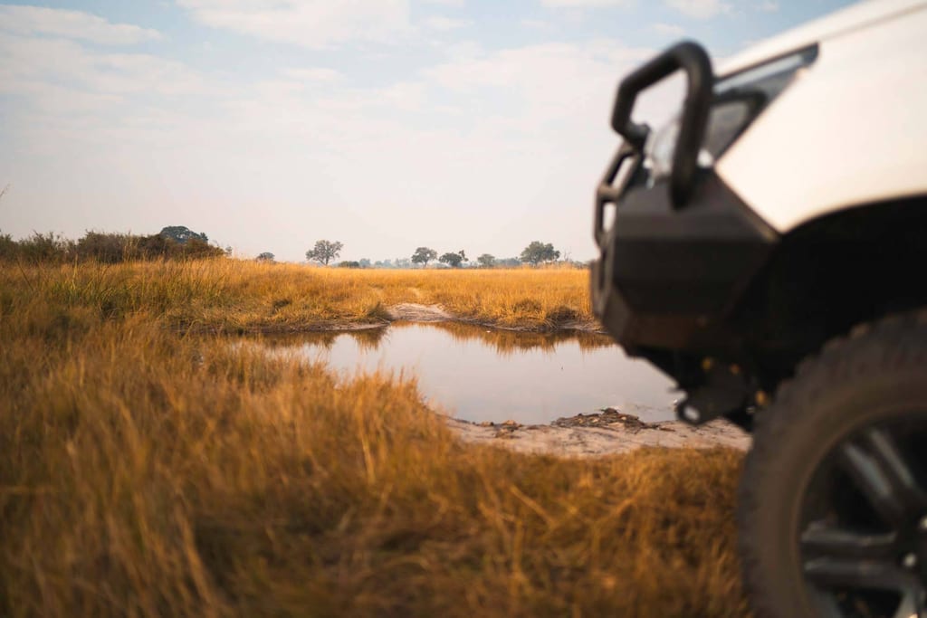 Teilansicht eines Geländewagens an einer Wasserpfütze in goldener Graslandschaft