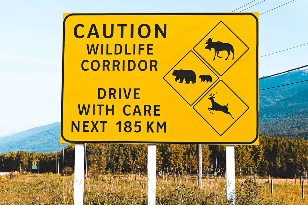Schilder sensibilieren Menschen in den Rocky Mountains