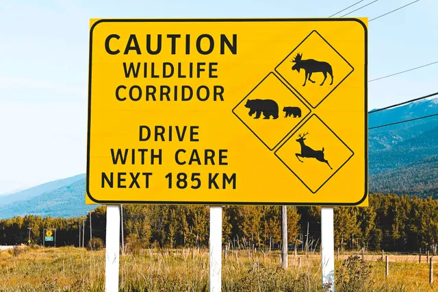 Schilder sensibilieren Menschen in den Rocky Mountains