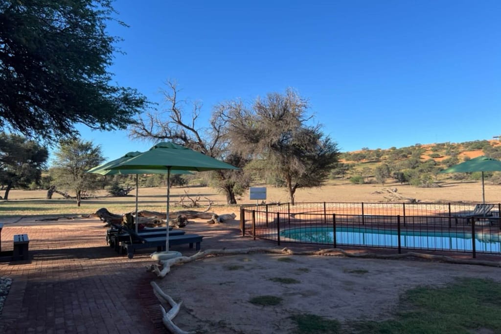 Poolterrasse mit Liegestühlen und Sonnenschirmen vor offener, baumbestandener Landschaft unter klarem Himmel.