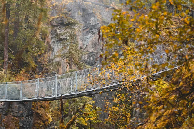 Seitliche Ansicht einer hängenden Metallbrücke in herbstlicher Schlucht mit gelben Blättern im Vordergrund.