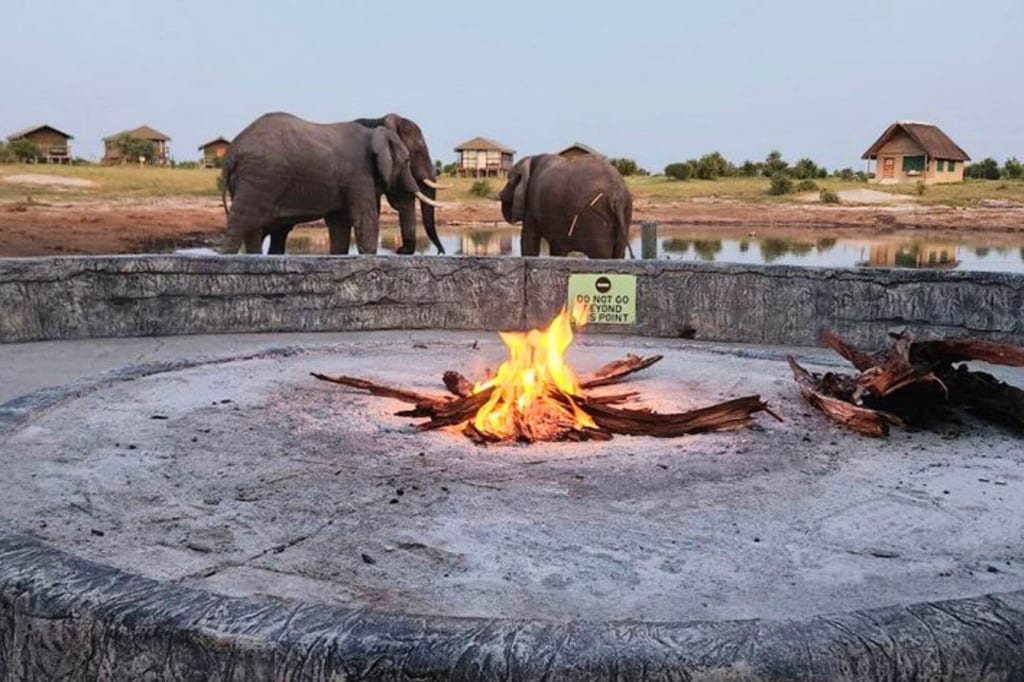 Feuerstelle im Vordergrund, zwei große Landsäuger am Wasser und Safari-Bungalows im Abendlicht.
