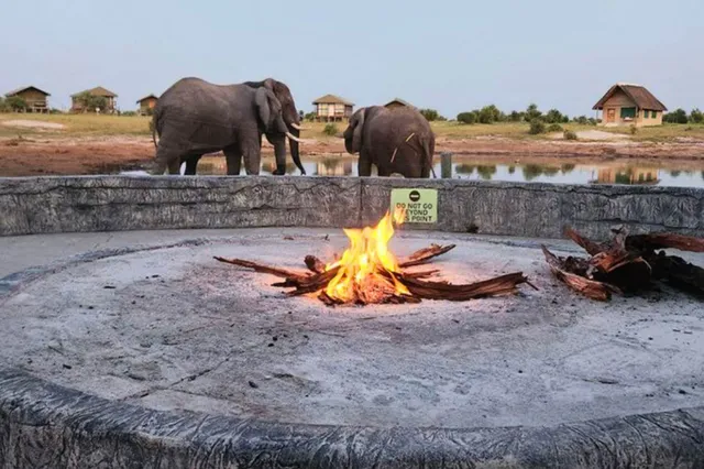 Feuerstelle im Vordergrund, zwei große Landsäuger am Wasser und Safari-Bungalows im Abendlicht.