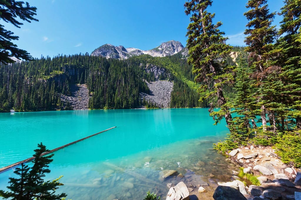 Türkisblaues Wasser, ein versunkener Baumstamm und majestätische Berge – die Joffre Lakes zeigen die unberührte Schönheit der kanadischen Wildnis