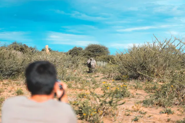 Unscharfer Fotograf filmt ein Nashorn in buschiger Steppe unter klarem blauem Himmel.