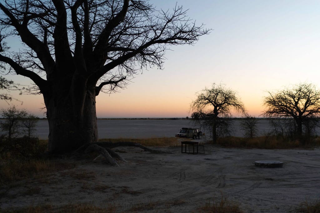 Große knorrige Baum-Silhouette am Abend vor einer weiten, trockenen Ebene mit einem Geländewagen.