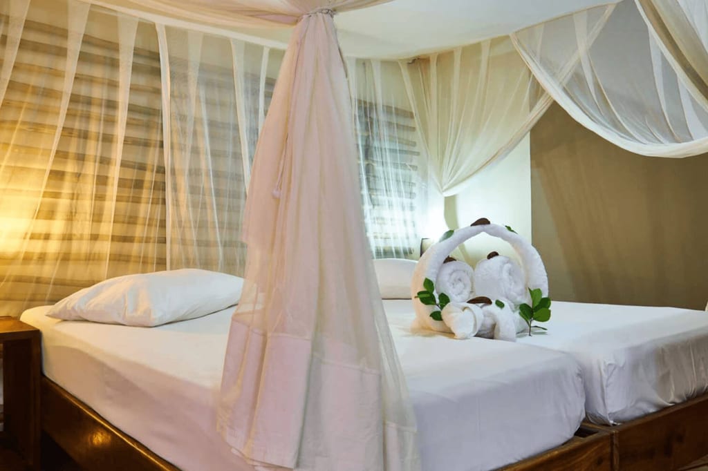 Schlafzimmer mit zwei Betten, Moskitonetz und dekorativ geformten Handtuchschwänen auf dem Bett.