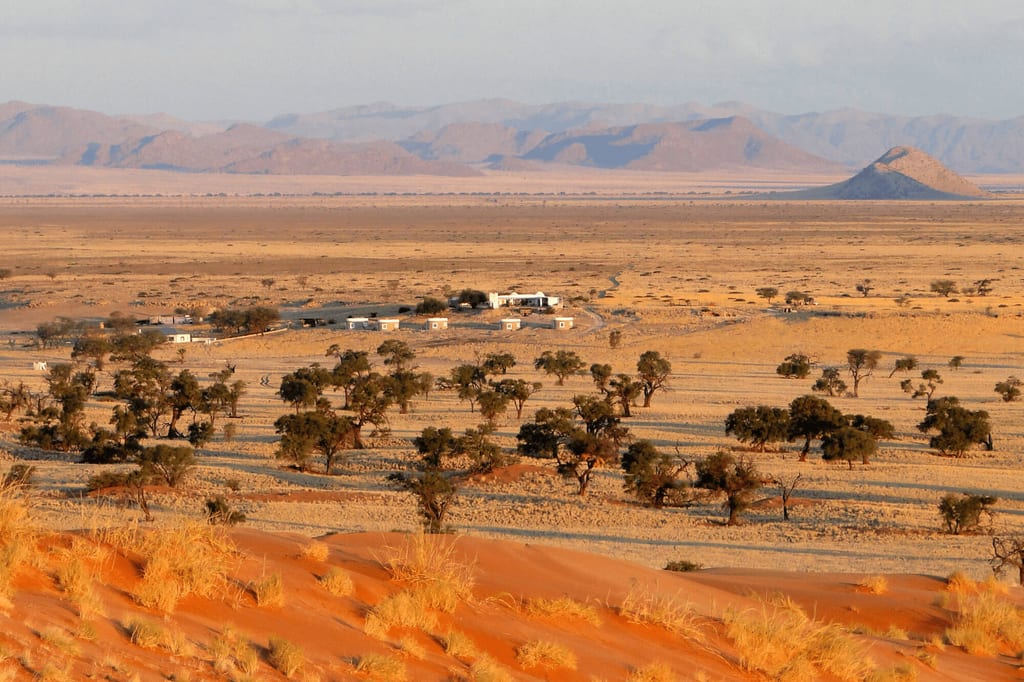 Blick über rote Dünen auf weite Halbwüste mit verstreuten Bäumen und einer kleinen Siedlung im warmen Spätnachmittagslicht.