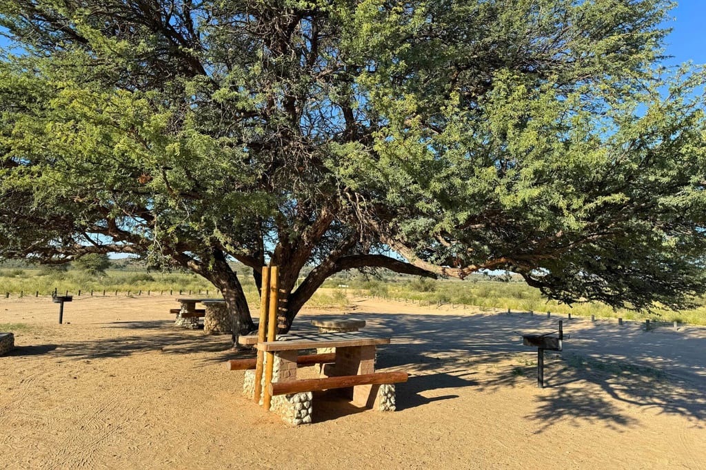 Rastplatz mit Picknicktisch und Grill unter großem Baum bei warmem Seitenlicht.