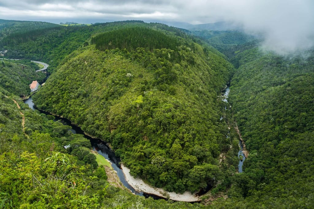 Panoramablick auf ein grünes, nebliges Flusstal mit dichtem Wald und steilen Hügeln.