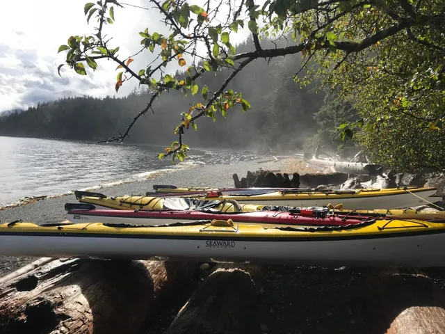 Kajaks im Orca Camp