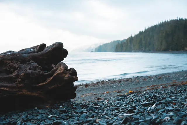 Pazifik vor Vancouver Island