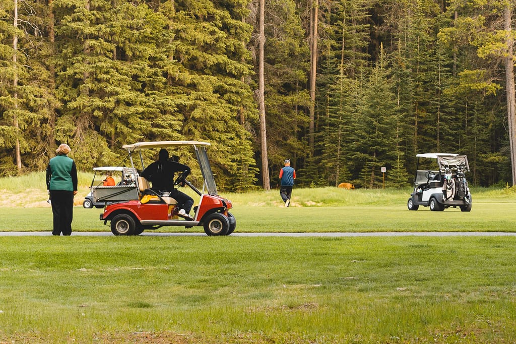 Golfspieler und zwei Golfcarts auf einem Fairway vor dichtem Nadelwald bei weichem Tageslicht.